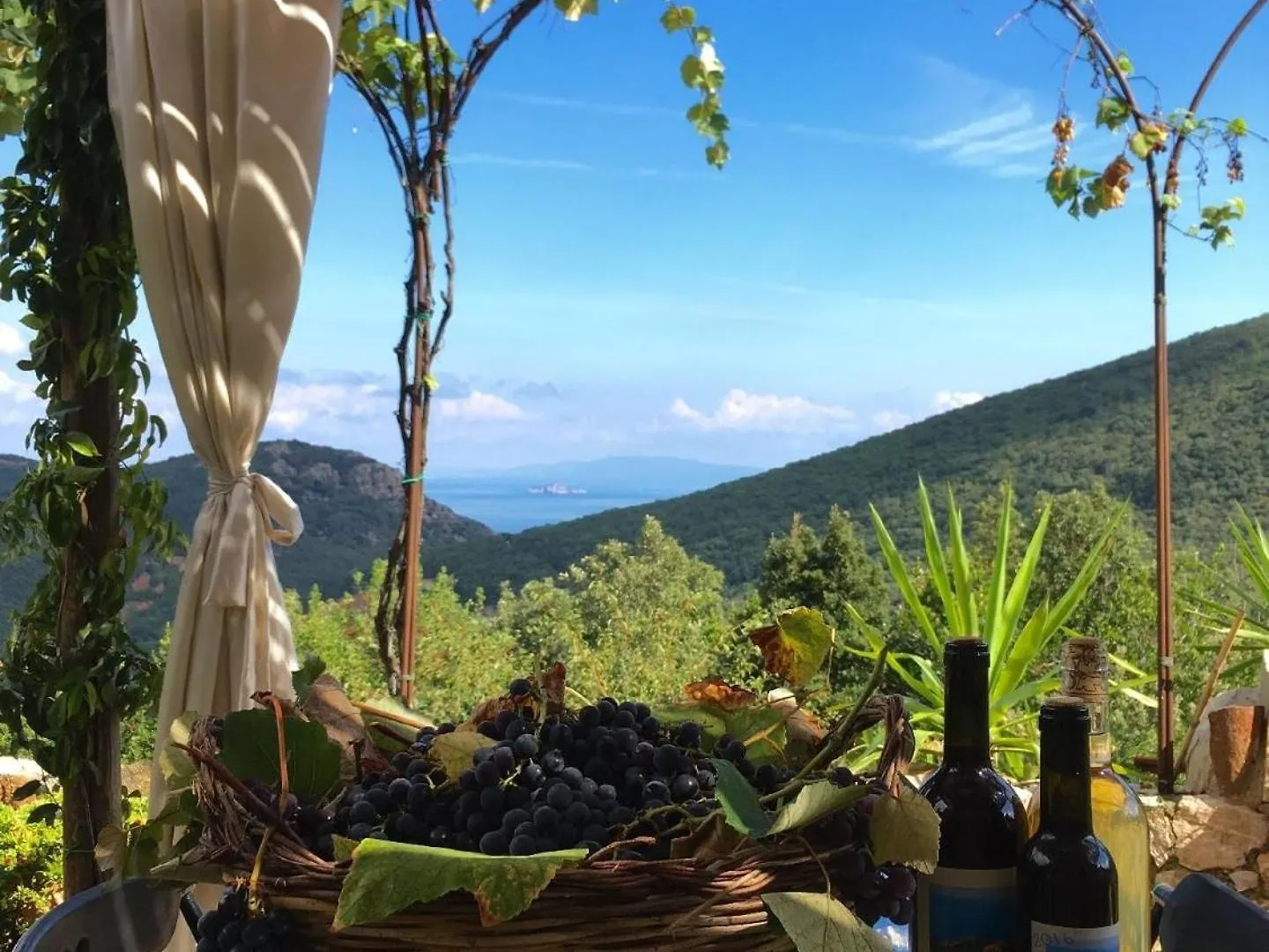 Casa Del Gatto Villa Rio nell'Elba